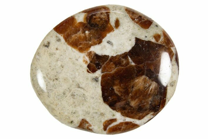 Polished Garnet In Wollastonite Stone - Namibia #343968